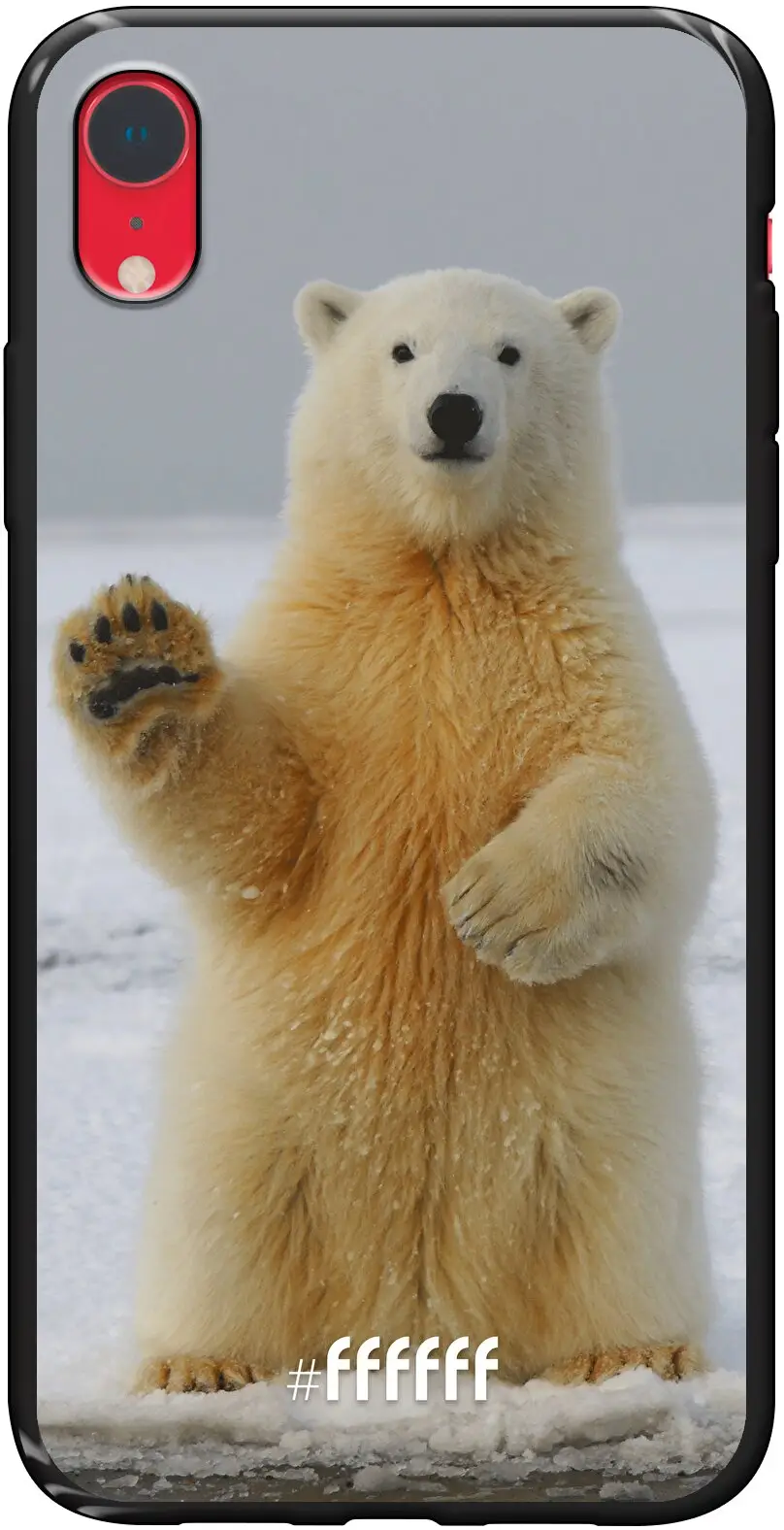 Polar Bear iPhone Xr