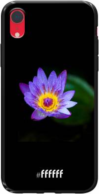 Purple Flower in the Dark iPhone Xr