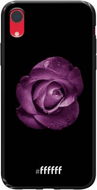 Purple Rose iPhone Xr