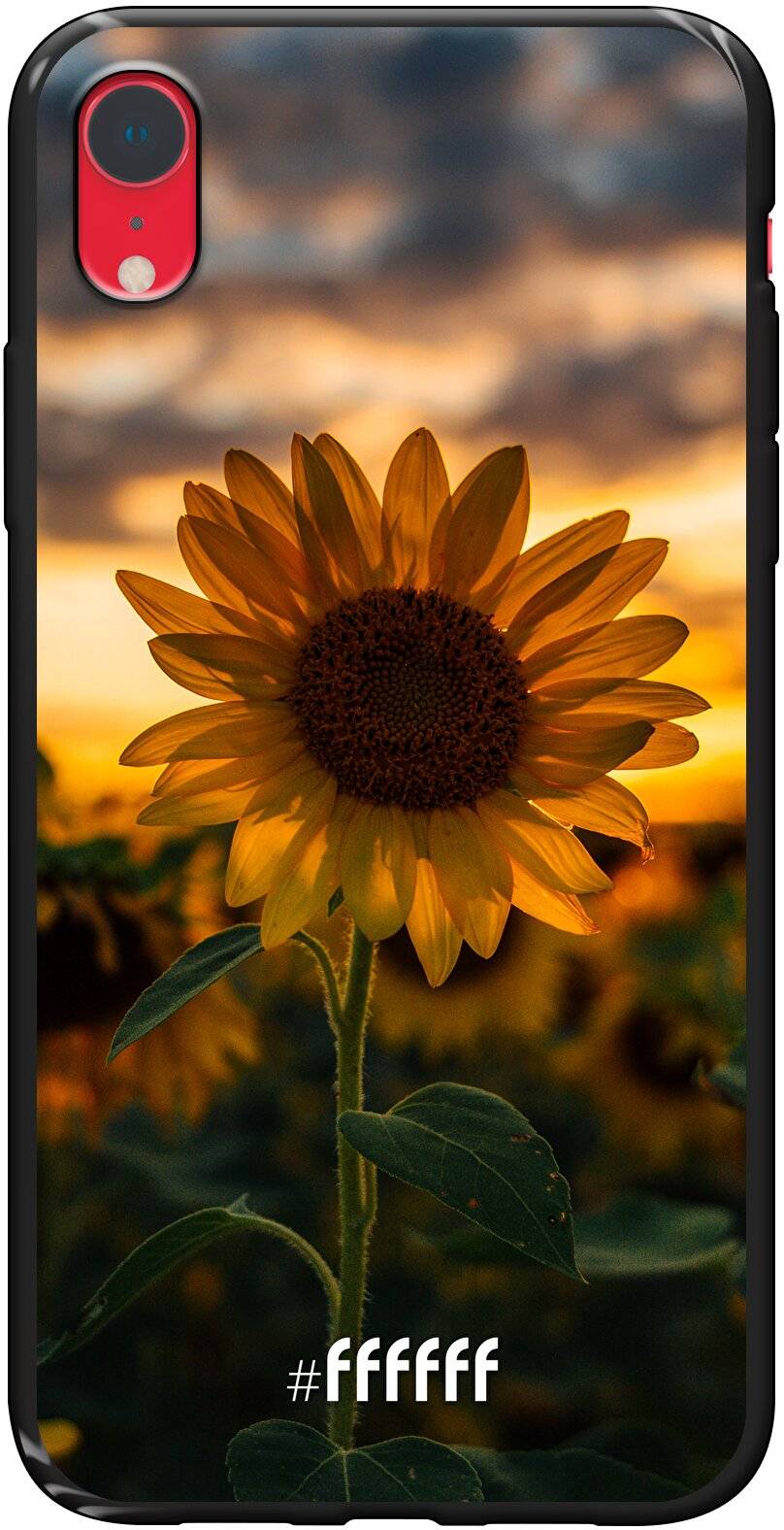 Sunset Sunflower iPhone Xr