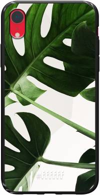 Tropical Plants iPhone Xr
