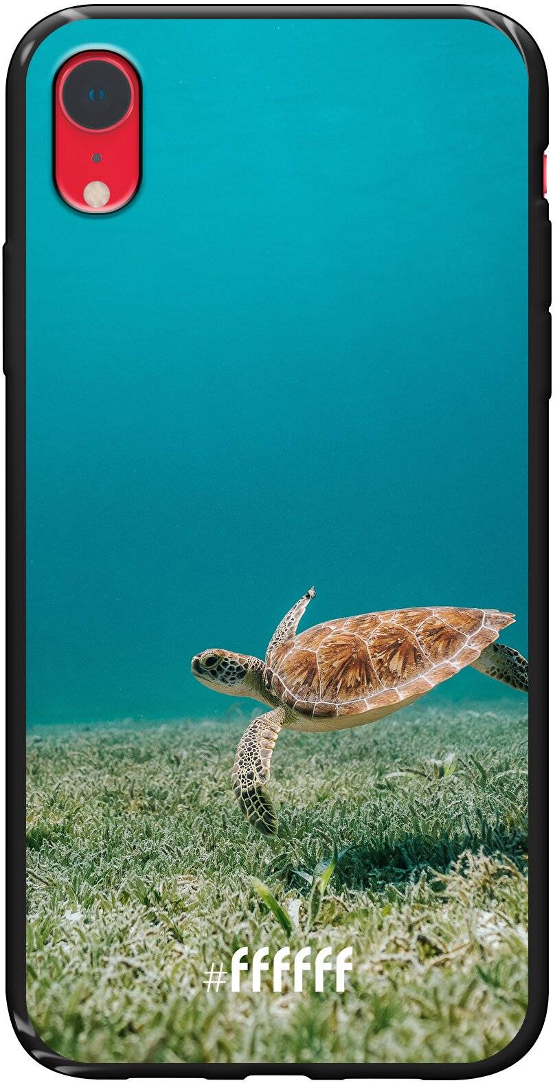 Turtle iPhone Xr