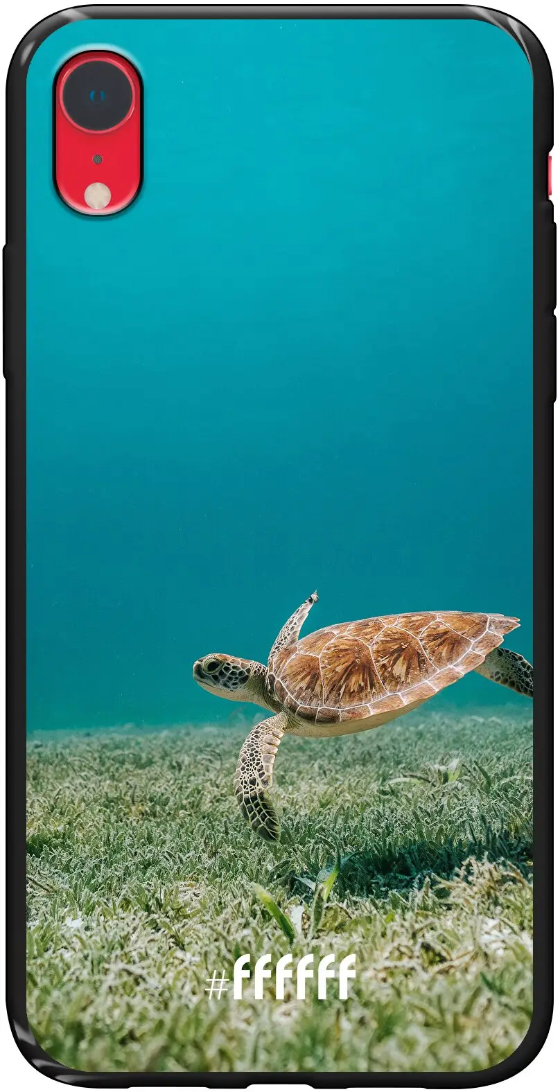 Turtle iPhone Xr