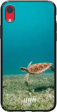 Turtle iPhone Xr