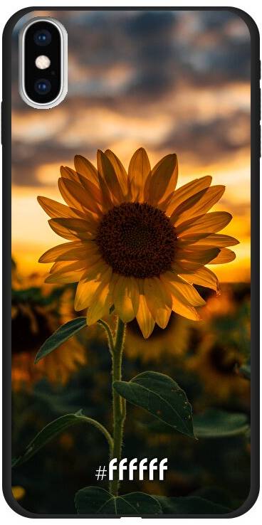 Sunset Sunflower iPhone Xs Max