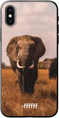 Elephants iPhone Xs