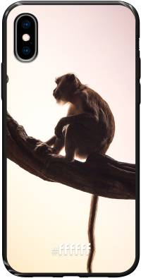 Macaque iPhone Xs