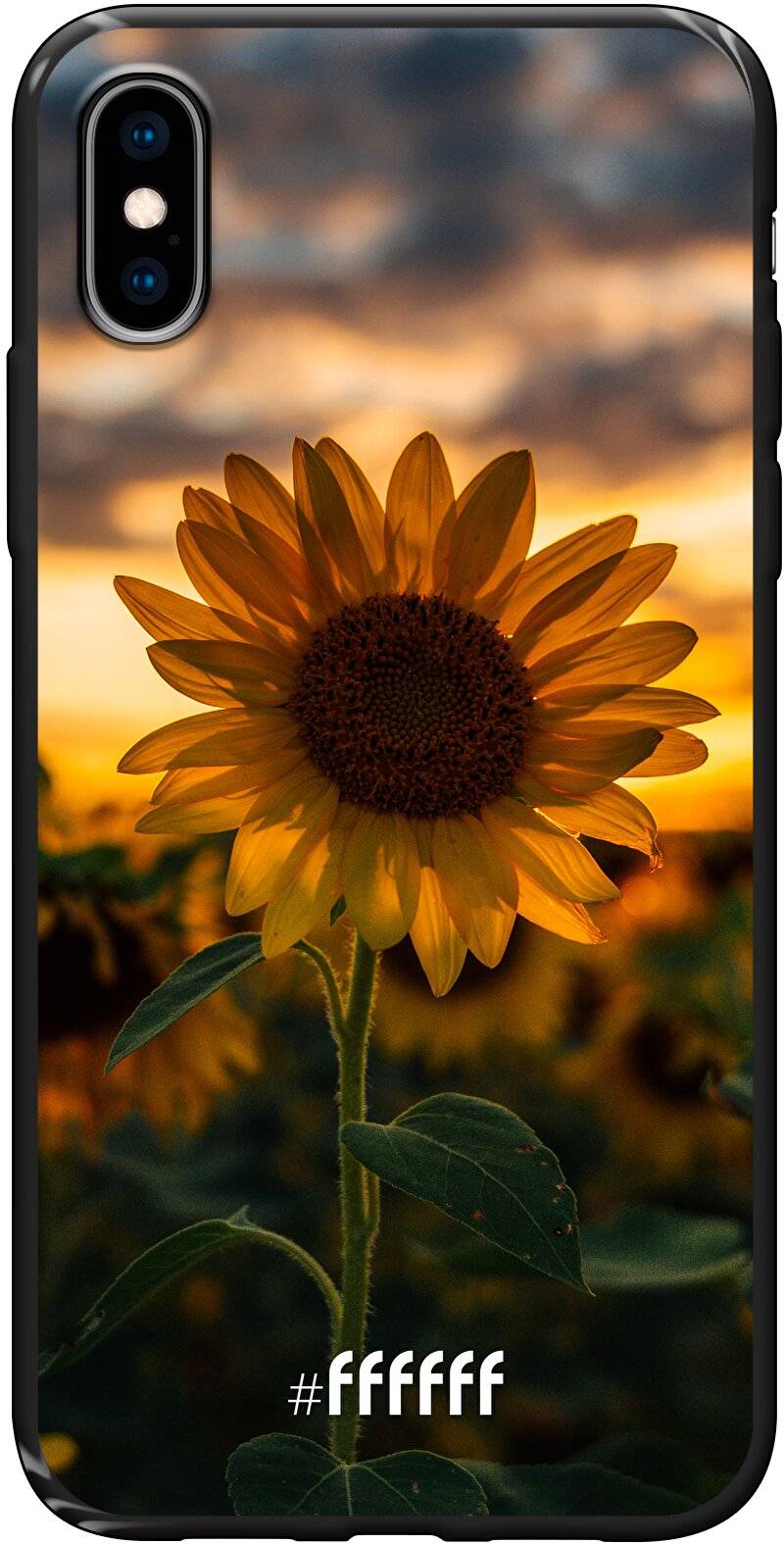 Sunset Sunflower iPhone Xs