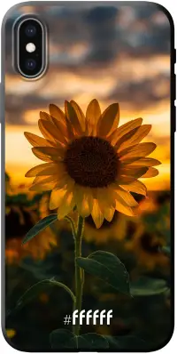 Sunset Sunflower iPhone Xs