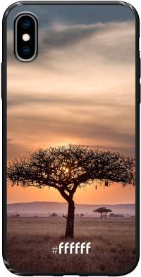Tanzania iPhone Xs