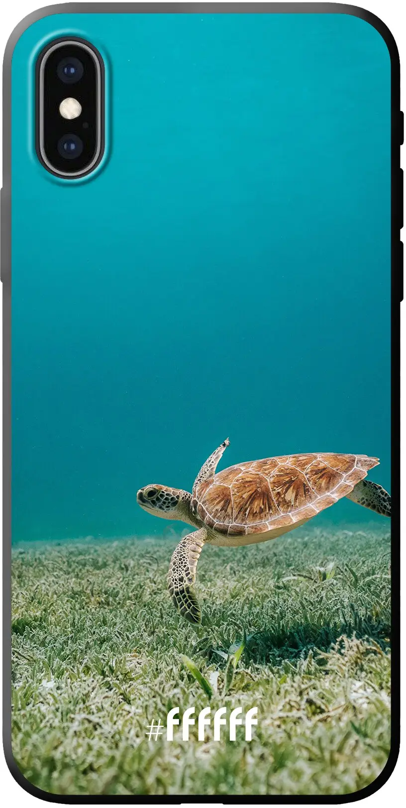 Turtle iPhone Xs