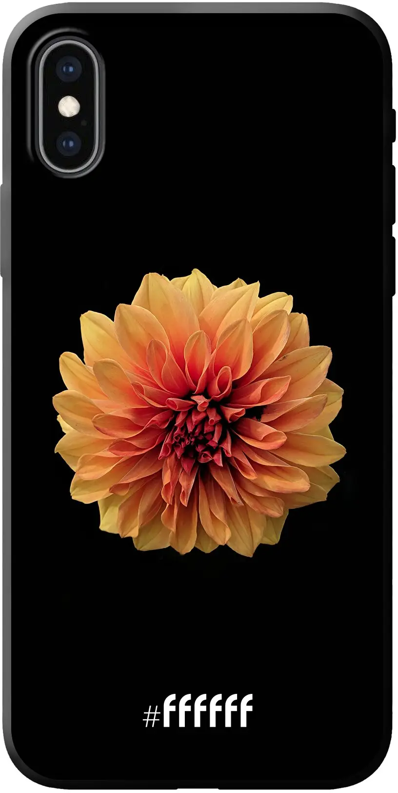 Butterscotch Blossom iPhone X