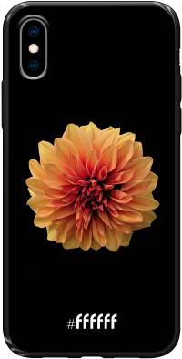 Butterscotch Blossom iPhone X