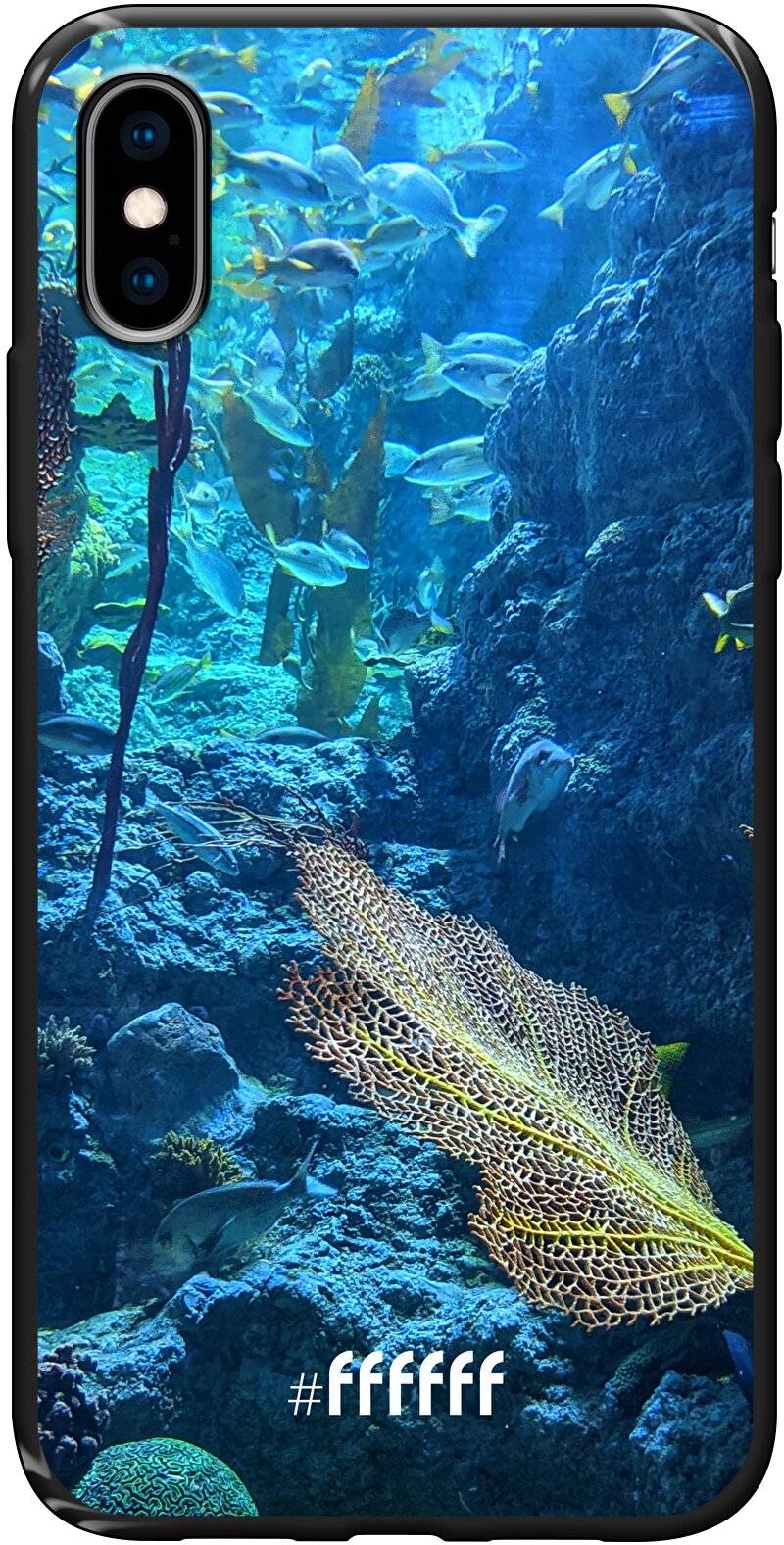 Coral Reef iPhone X