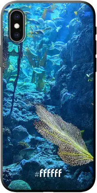 Coral Reef iPhone X