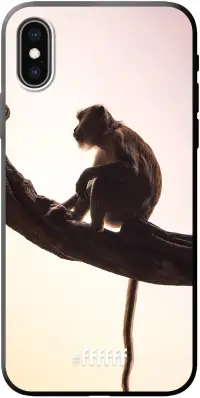 Macaque iPhone X