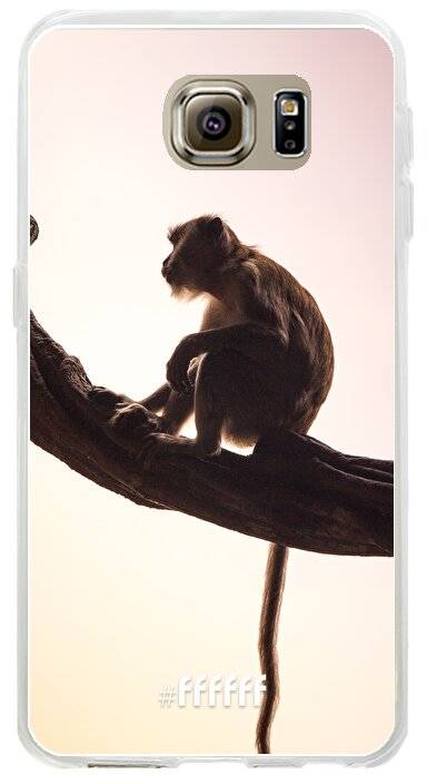 Macaque Galaxy S6