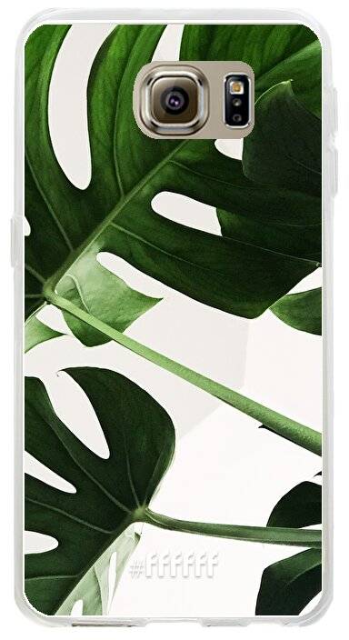 Tropical Plants Galaxy S6