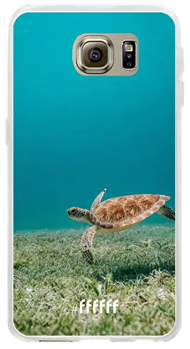 Turtle Galaxy S6