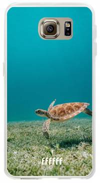 Turtle Galaxy S6