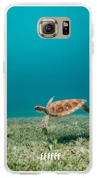 Turtle Galaxy S6