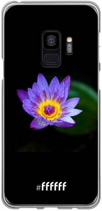 Purple Flower in the Dark Galaxy S9