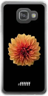 Butterscotch Blossom Galaxy A3 (2016)