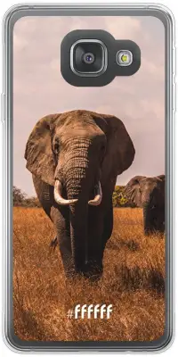 Elephants Galaxy A3 (2016)