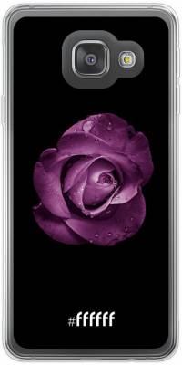 Purple Rose Galaxy A3 (2016)