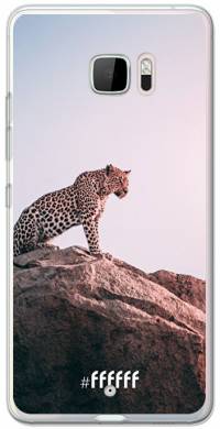 Leopard U Ultra