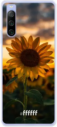 Sunset Sunflower Xperia 10 IV