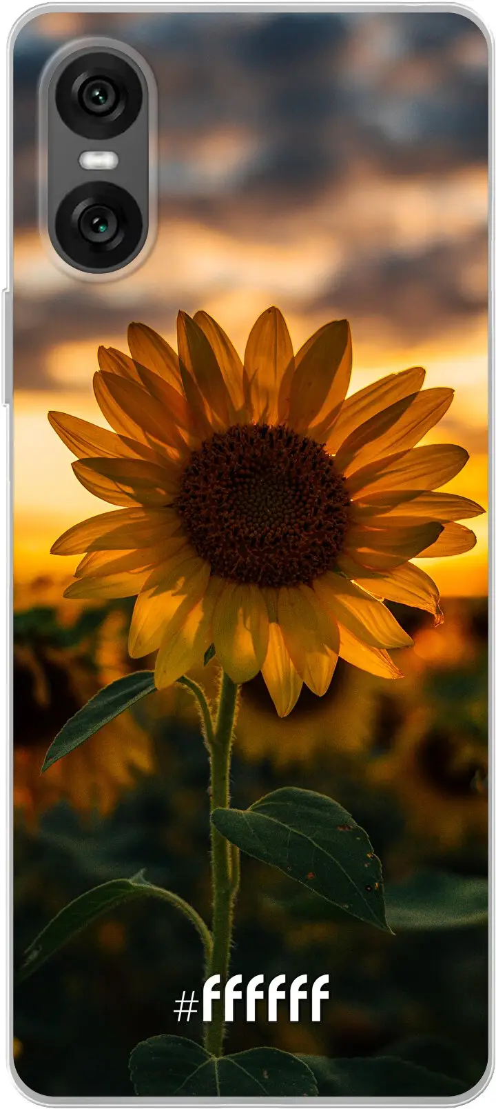 Sunset Sunflower Xperia 10 VI