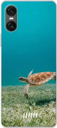 Turtle Xperia 10 VI