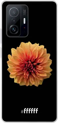 Butterscotch Blossom 11T Pro