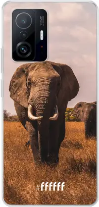 Elephants 11T Pro