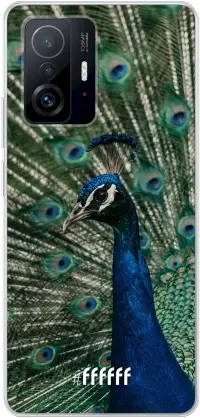 Peacock 11T