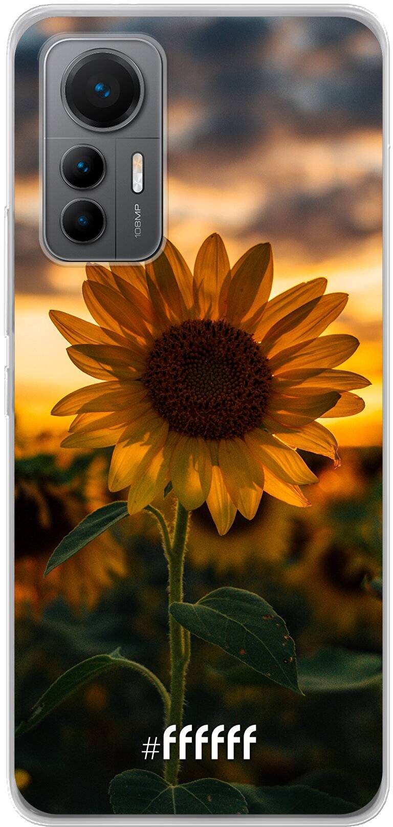 Sunset Sunflower 12 Lite