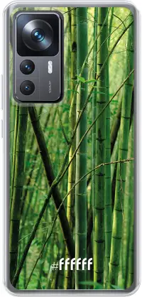 Bamboo 12T