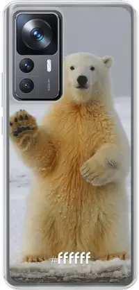 Polar Bear 12T