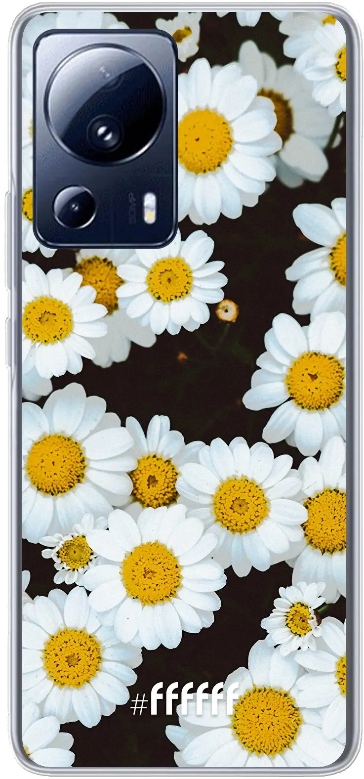 Daisies 13 Lite