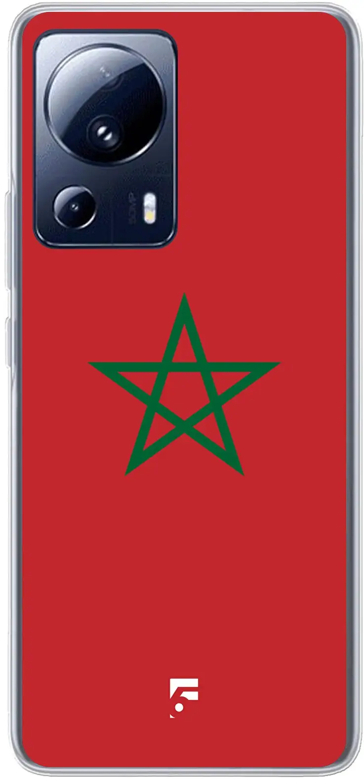 Marokko vlag 13 Lite