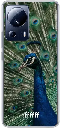 Peacock 13 Lite