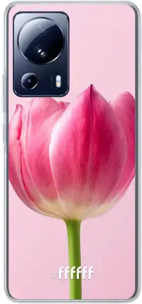 Pink Tulip 13 Lite