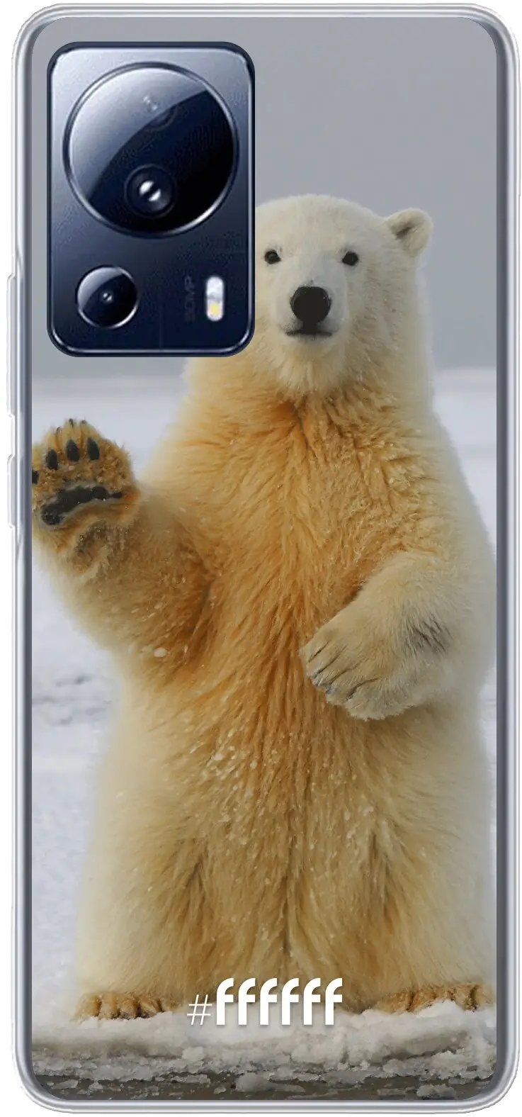 Polar Bear 13 Lite