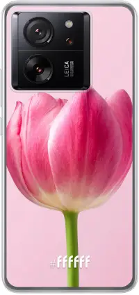 Pink Tulip 13T Pro