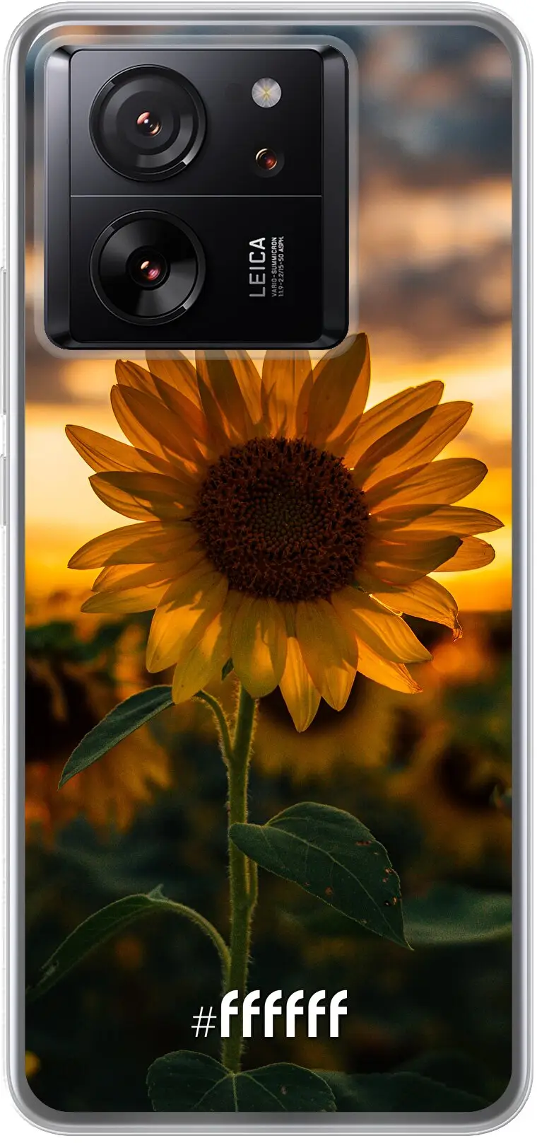 Sunset Sunflower 13T Pro