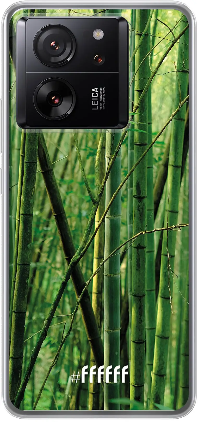 Bamboo 13T