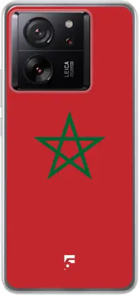 Marokko vlag 13T