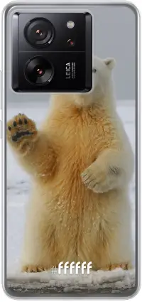 Polar Bear 13T