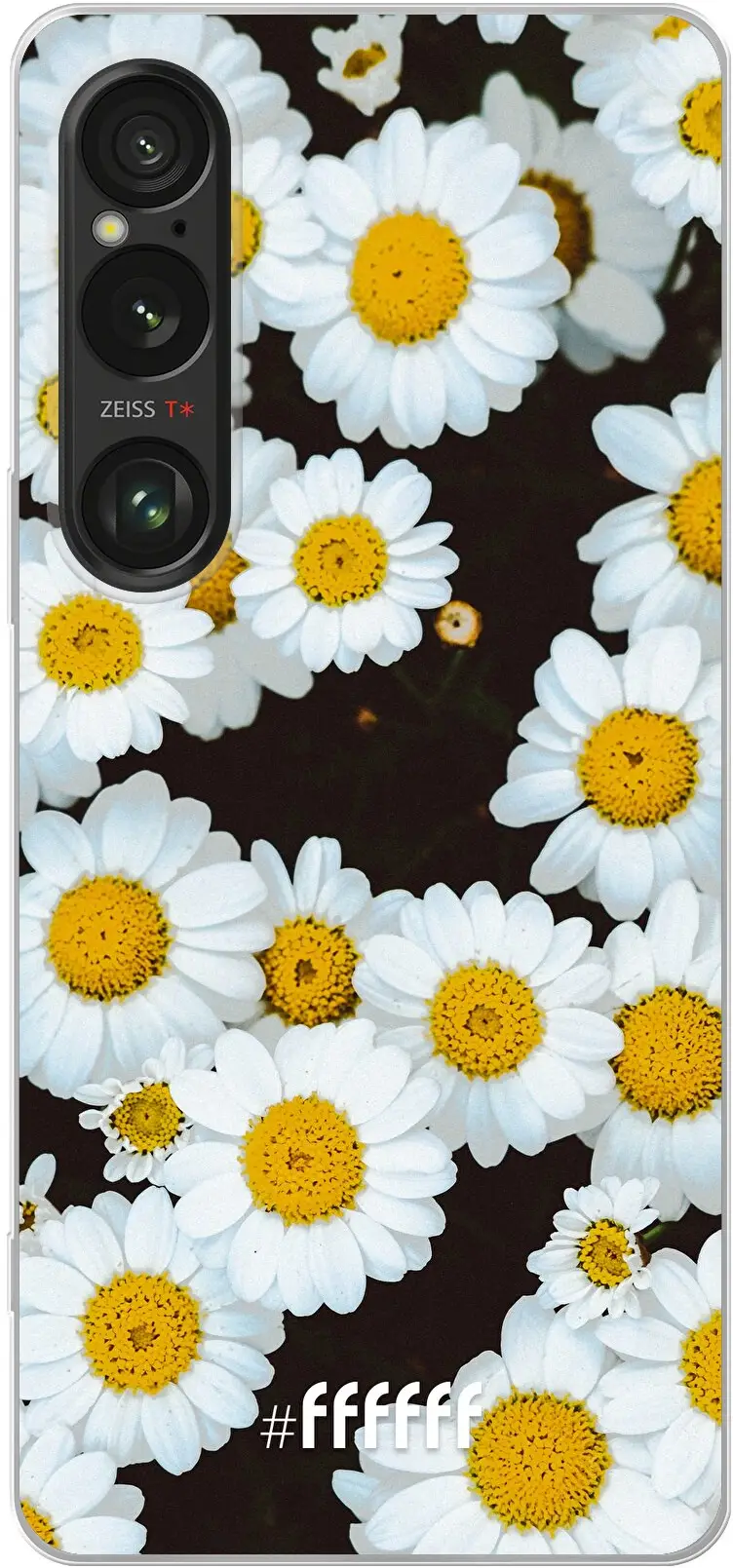 Daisies Xperia 1 VI